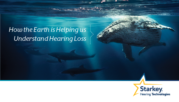 SOCM2872-00-EE-SHT_How_the_Earth_is_us_understand_helping_hearing_loss_Blog.png