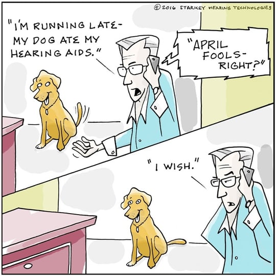 犬が補聴器を飲み込んじゃった!