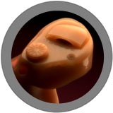 スターキーのCE-1カスタムの写真