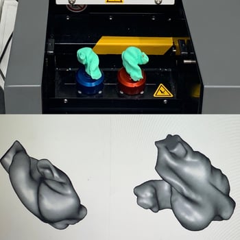 スキャンされた耳型