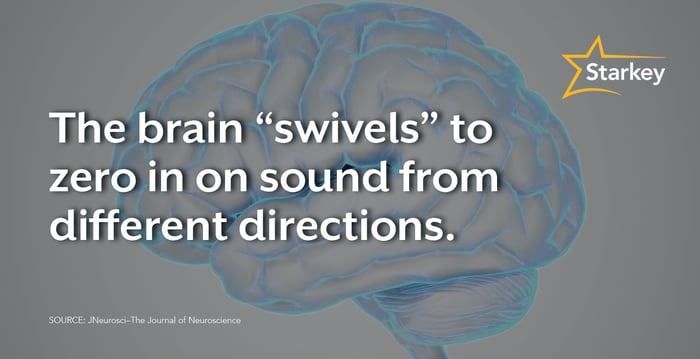 Brain Swivels Blog-Header