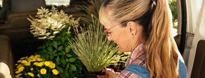 Plants Make Sounds Blog-Inline2